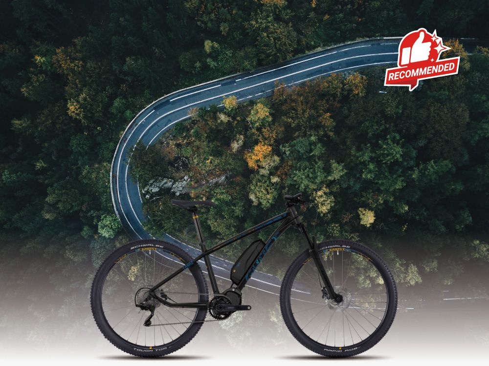 Electric Hybrid Bike - TOP BRAKE